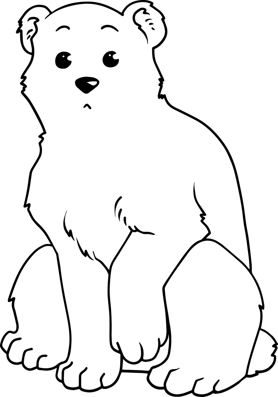 Disegno da colorare di orso seduto con espressione dubbiosa