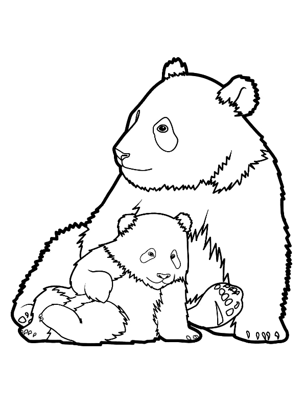 Drawing 3 from Panda coloring page to print and coloring