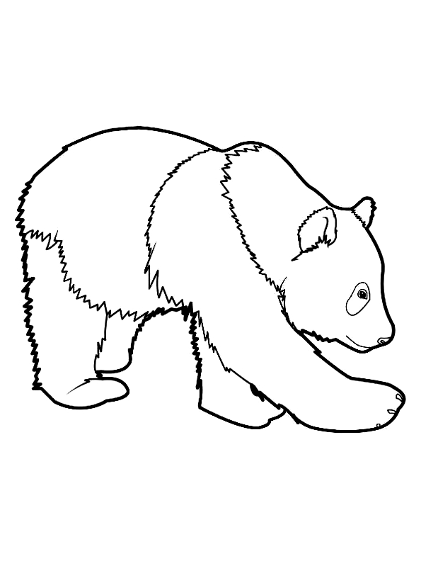 Disegno 4 di panda da stampare e colorare