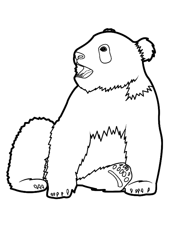 Drawing 12 from Panda coloring page to print and coloring