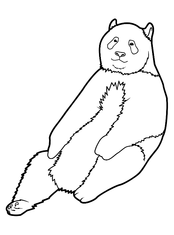 Dibujo 13 de panda para imprimir y colorear