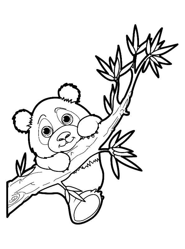 Desenho 16 de Panda para colorir