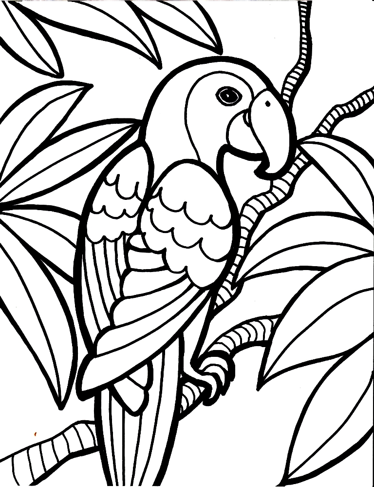 Coloriage 7 des Perroquets  imprimer et colorier