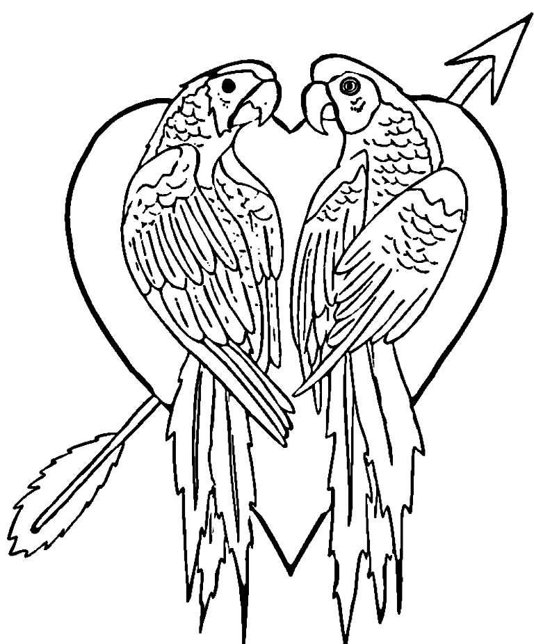 Desenho 13 de Papagaios para imprimir e colorir