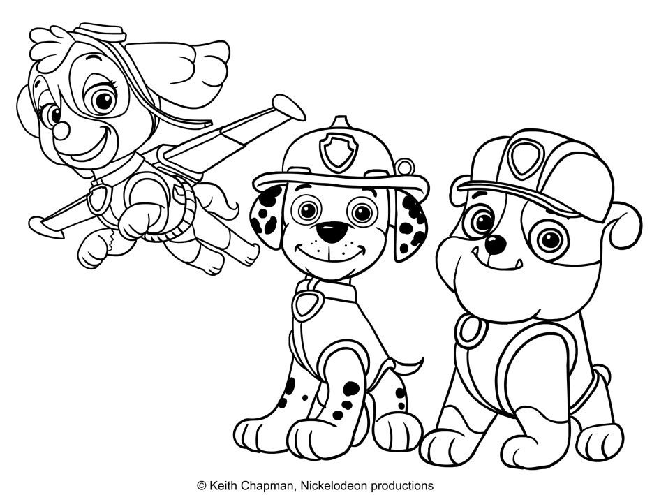 Disegno da colorare di Skye, Marshall e Rubble - Paw Patrol