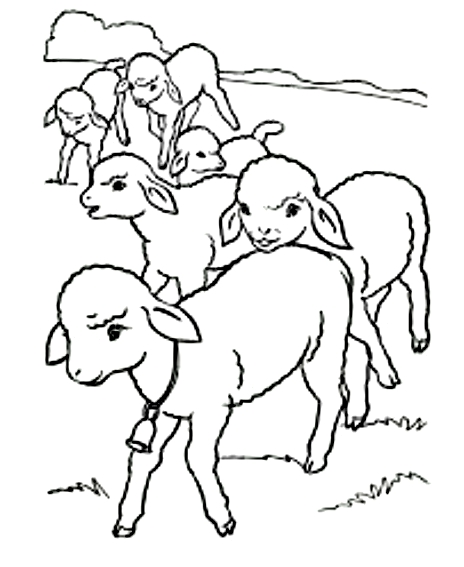 Dessin 2 de mouton à imprimer et colorier