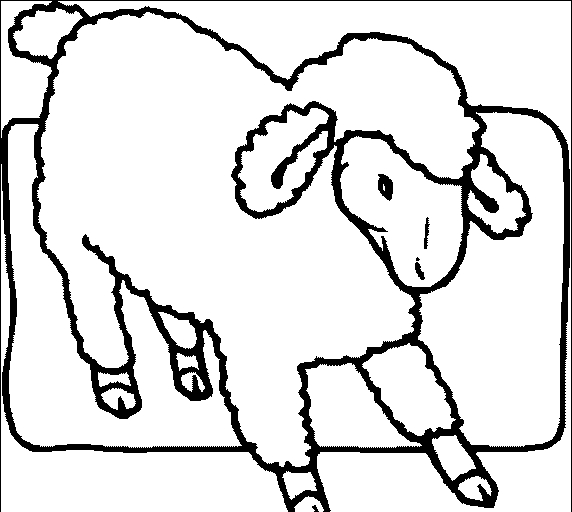 羊の絵を描いて色を塗る6