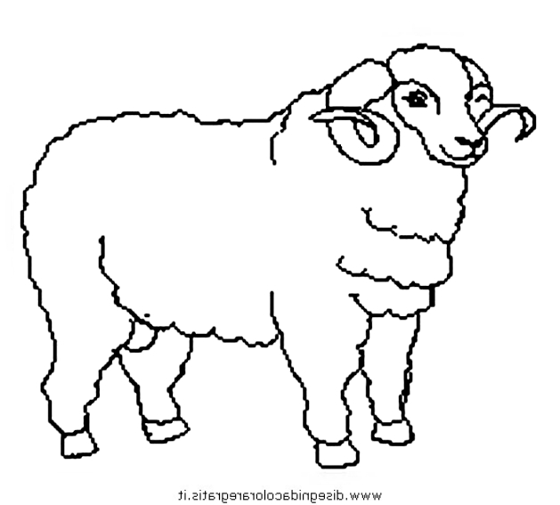 Dibujo 14 de oveja para imprimir y colorear