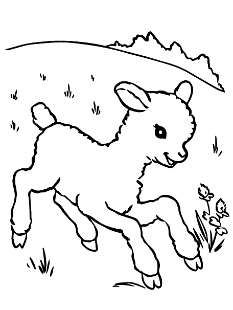 Disegno 23 di pecore da stampare e colorare
