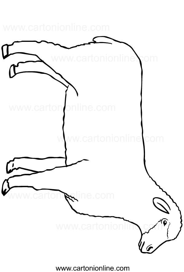 Sheep drawing to print and color