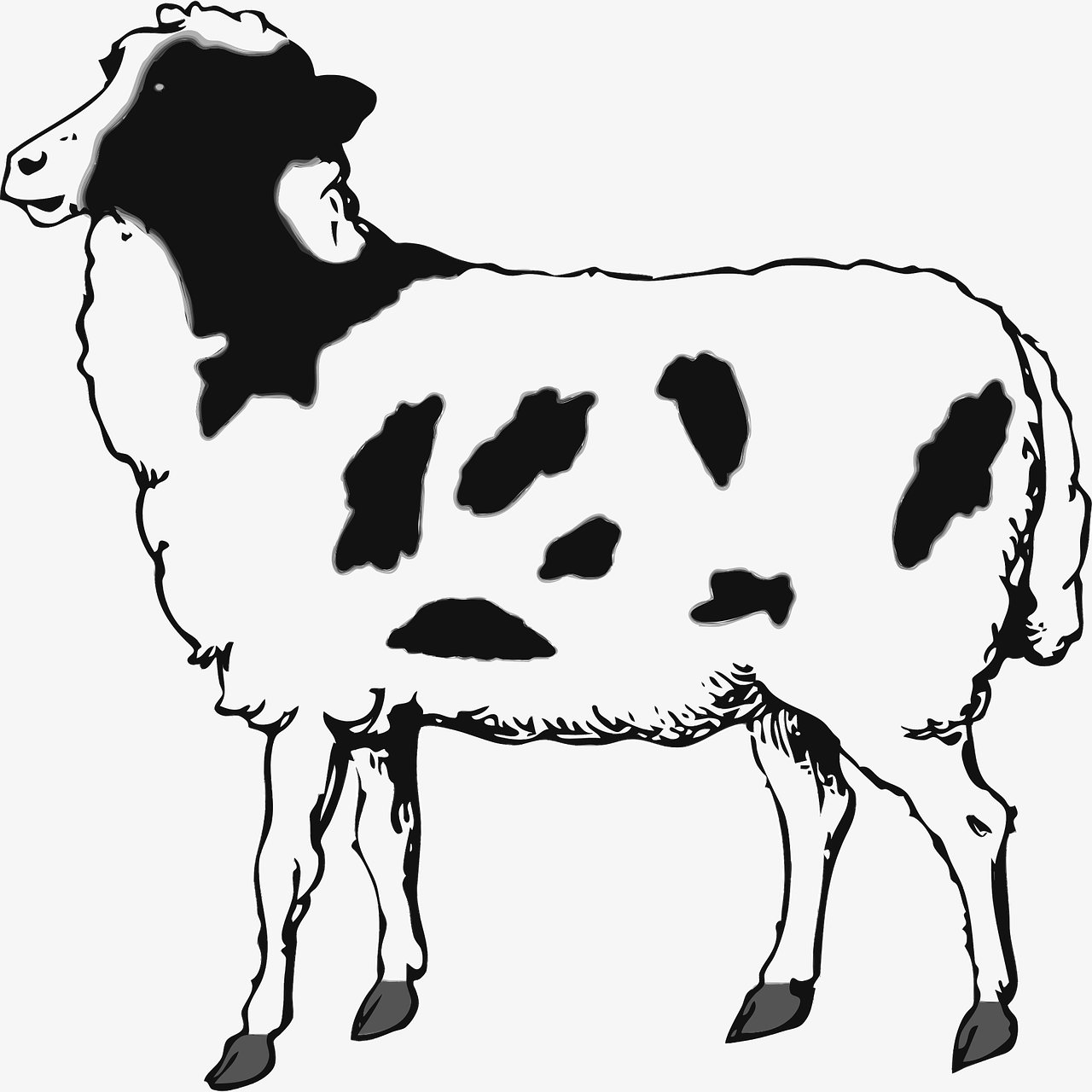 Dibujo para colorear de una oveja