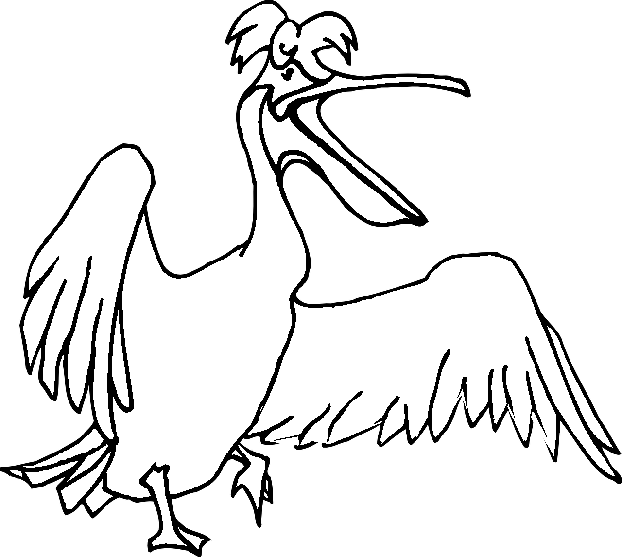 Coloring page of a pelican