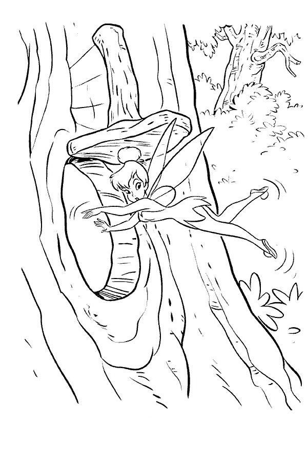 Drawing 11 from Peter Pan coloring page to print and coloring