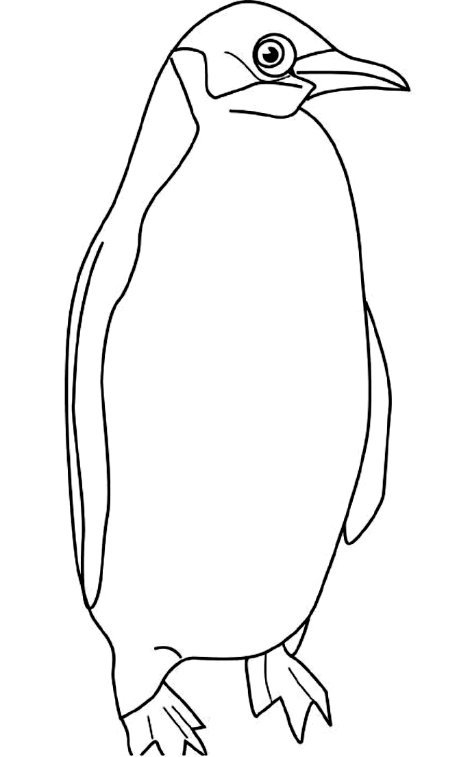 Drawing 11 from Penguins coloring page to print and coloring