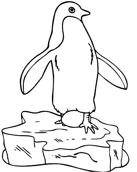 Drawing 17 of penguins to print and color