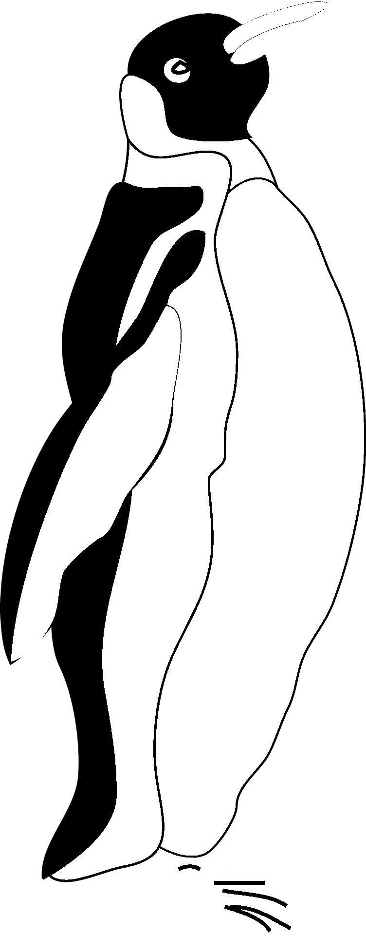ペンギンのぬり絵絵