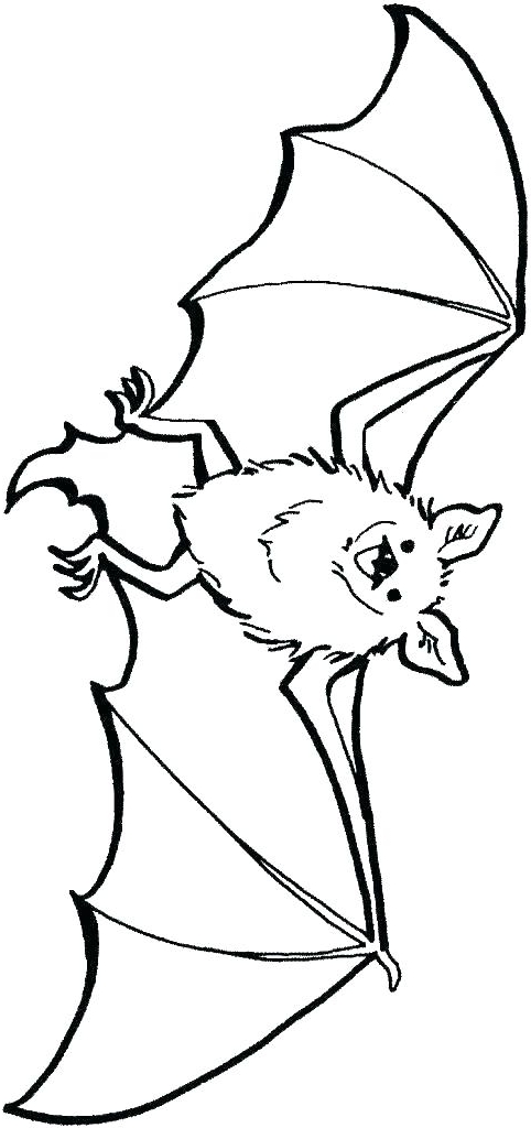 Disegno 10 di pipistrelli da stampare e colorare