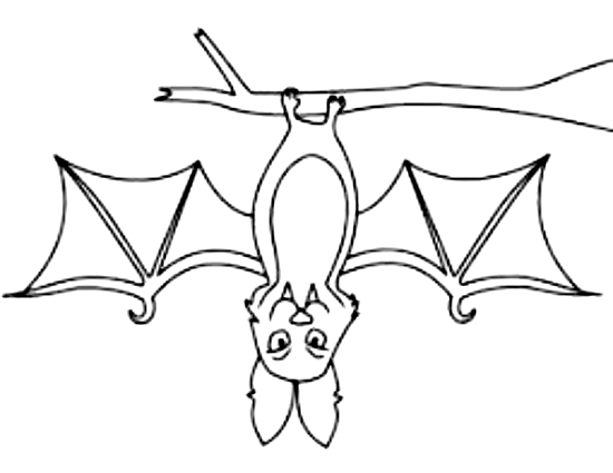 Coloriage 11 de chauves-souris  imprimer et colorier