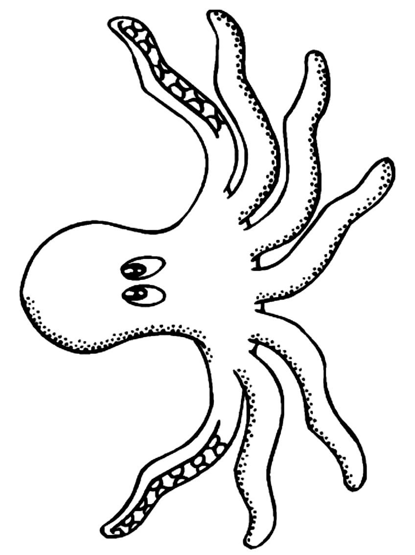 Coloriage 18 des Octopodes  imprimer et colorier