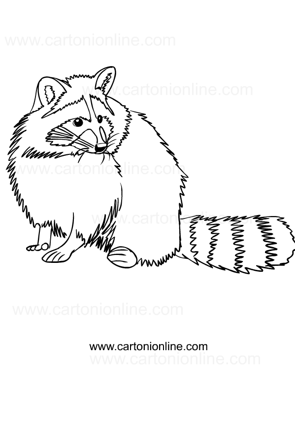 Raccoons drawing to print and color