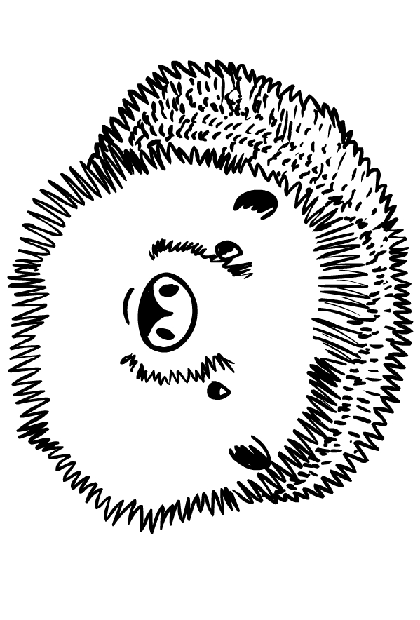 Hedgehogs drawing to print and color
