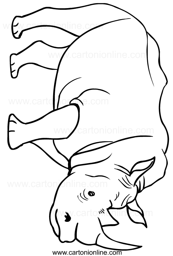 رسم وحيد القرن للطباعة واللون