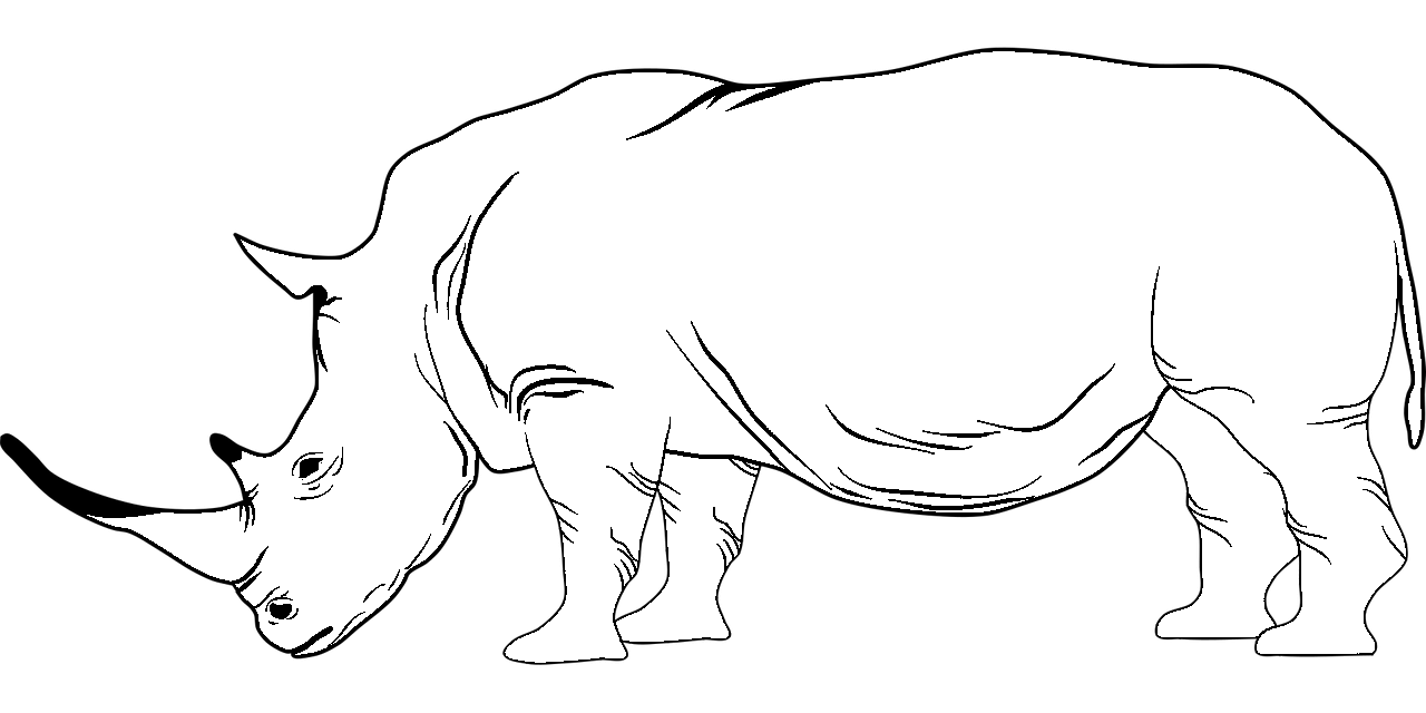 صفحة التلوين من وحيد القرن