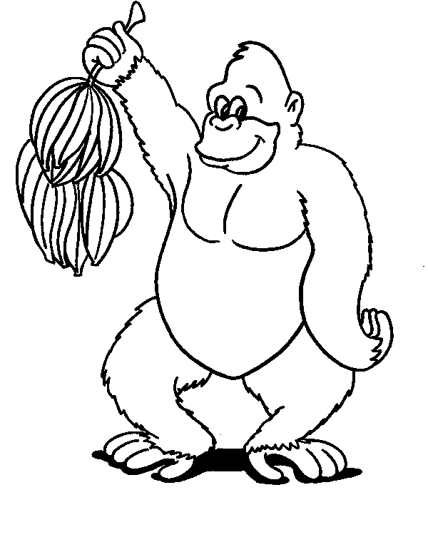 Desenho 4 de Macacos para imprimir e colorir