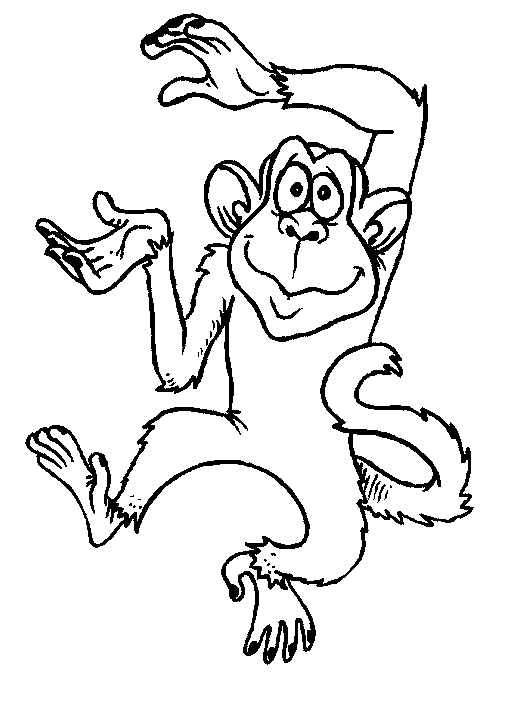 Disegno 5 di scimmie da stampare e colorare