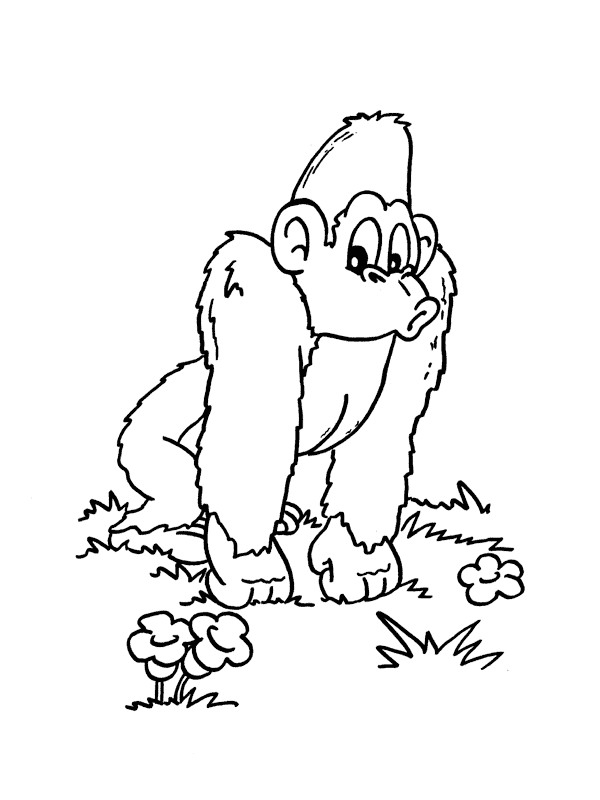 Drawing 22 from Monkeys coloring page to print and coloring