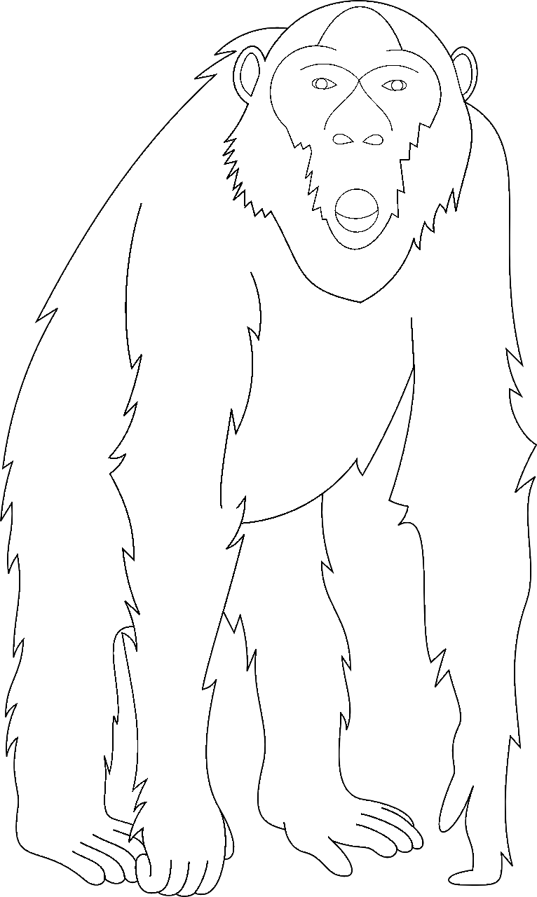 Dibujo para colorear de un mono