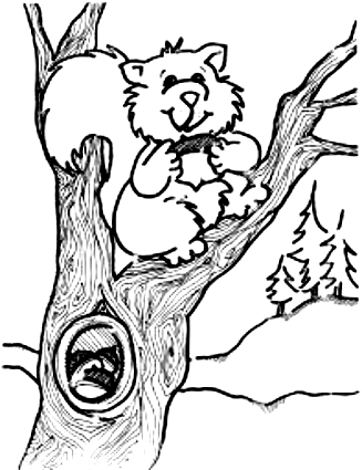 Drawing 14 from squirrels coloring page to print and coloring