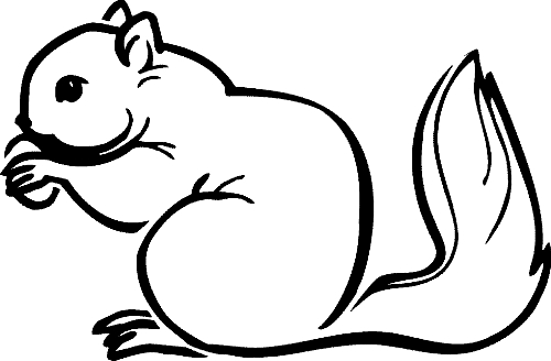 Drawing 16 from squirrels coloring page to print and coloring