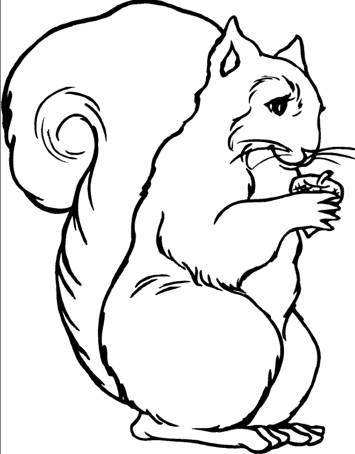 Drawing 20 from squirrels coloring page to print and coloring