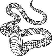 Disegno da colorare di un serpente stile cartoon