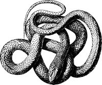 만화 스타일 뱀의 색칠 페이지