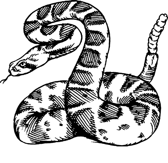 Desenho 2 de Cobras para imprimir e colorir
