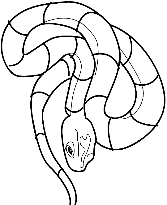 Disegno 6 di serpenti da stampare e colorare