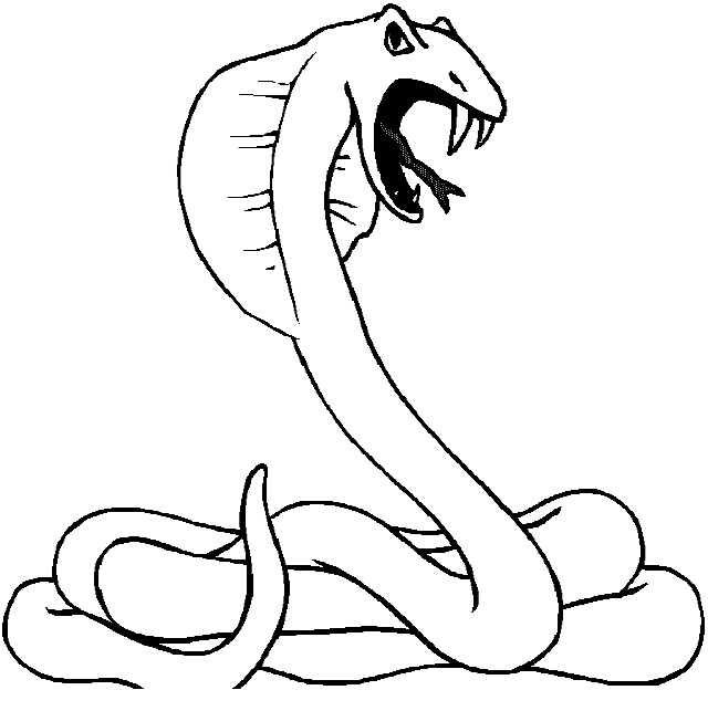 Dibujo 8 de Serpientes para imprimir y colorear