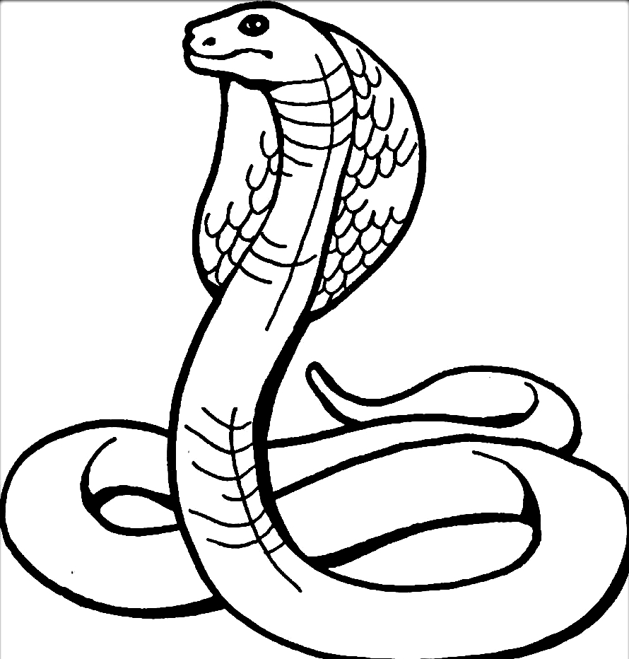 Desenho 17 de Cobras para imprimir e colorir