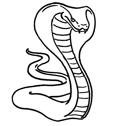 Dibujo 18 de serpientes para imprimir y colorear
