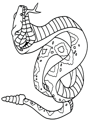 Disegno 19 di serpenti da stampare e colorare