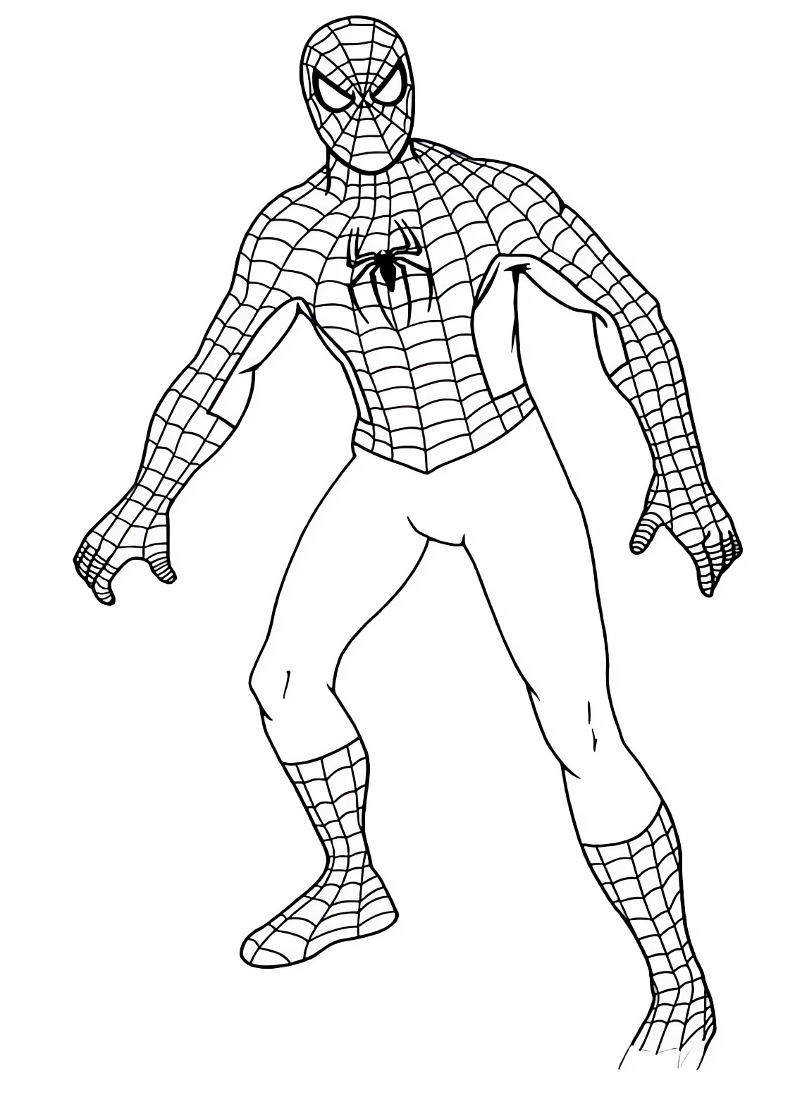 Disegno Di Spiderman A Figura Intera Da Colorare