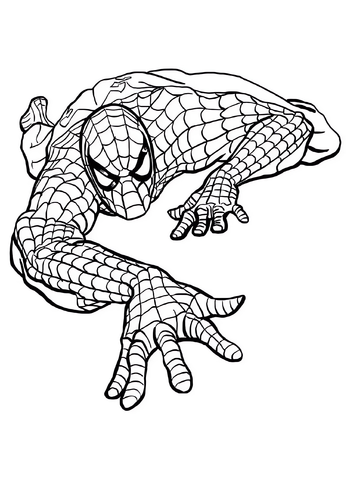 Spiderman-Seite zum Ausdrucken und Ausmalen