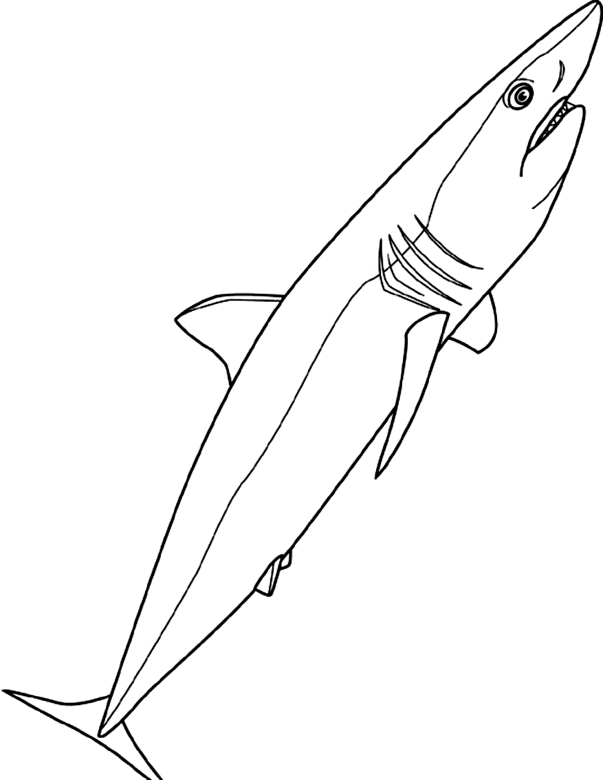 Drawing 4 of sharks to print and color