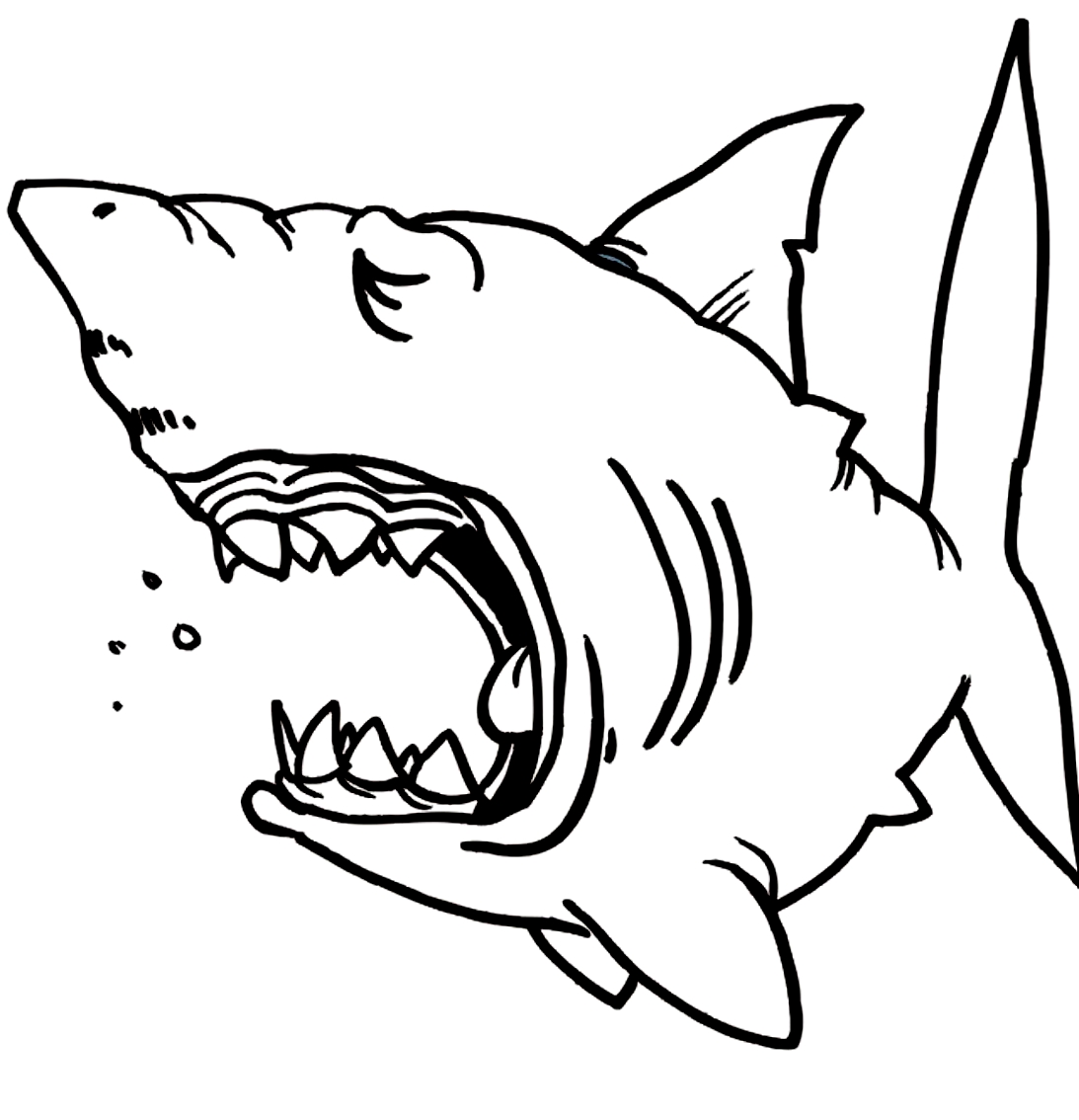 Drawing 10 of sharks to print and color