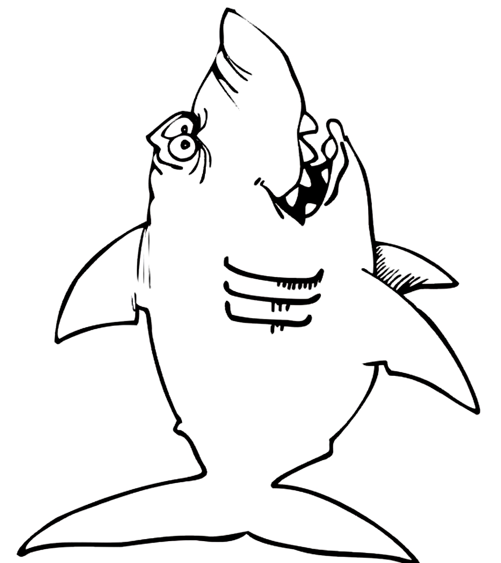 Disegno 11 di squali da stampare e colorare