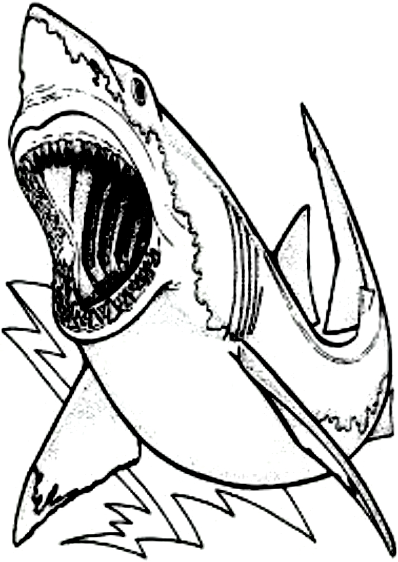 رسم 18 من أسماك القرش للطباعة واللون