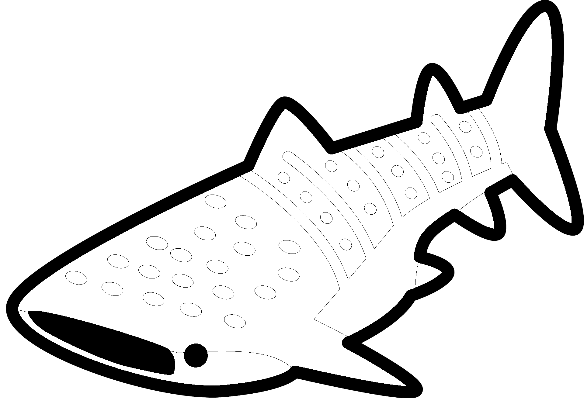 Kleurplaat van een haai