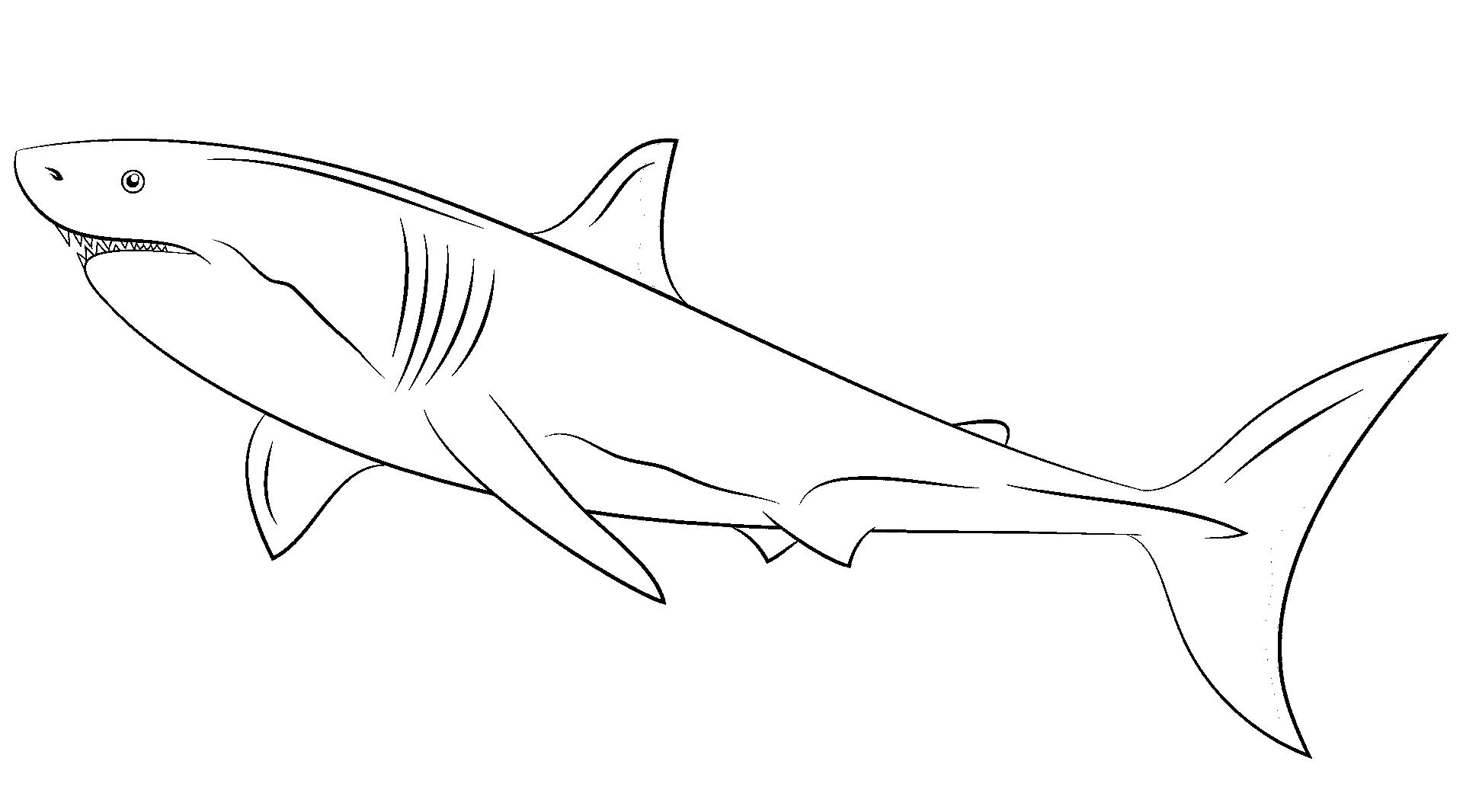 サメのぬり絵絵